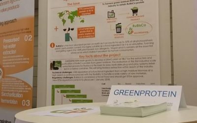 GreenProtein at the BBI-JU Stakeholder Forum 2017