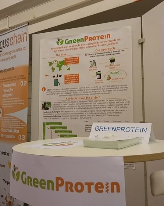 GreenProtein at the BBI-JU Stakeholder Forum 2017