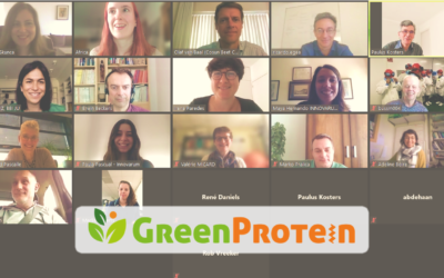 Goodbye to the GreenProtein project!
